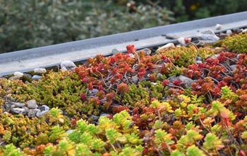the cost of Thorpe Culvert green roof installation