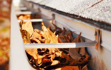 Thorpe Culvert gutter cleaning companies