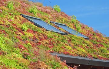 Thorpe Culvert living roof systems