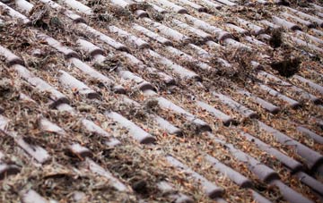 Thorpe Culvert roof cleaning companies