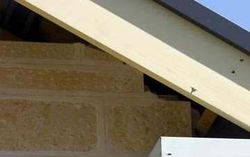 soffit repair Thorpe Culvert