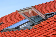 Thorpe Culvert roof window